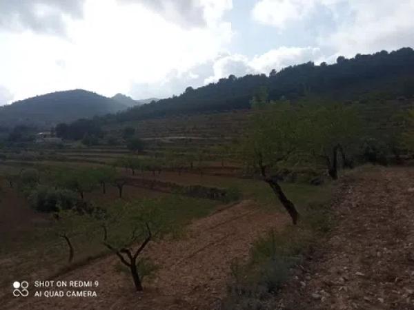Terreno en Partida Maset, 26 -z