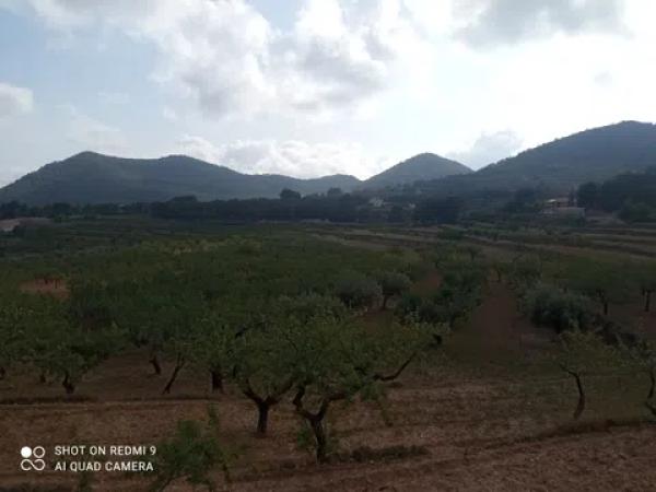 Terreno en Partida Maset, 26 -z