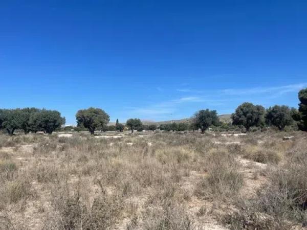 Terreno en Campello Pueblo