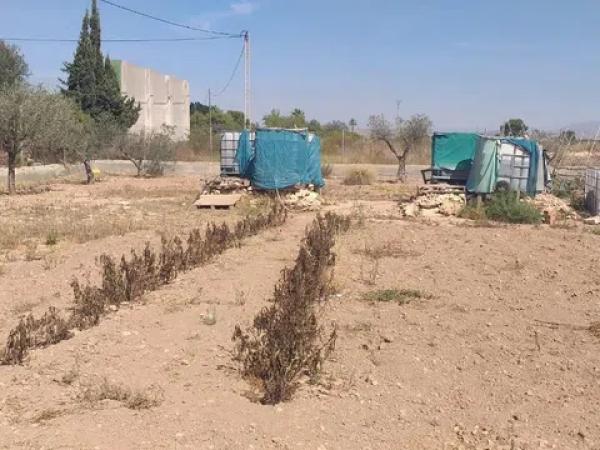 Terreno en Maitino-Perleta