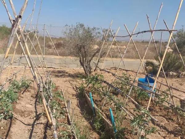 Terreno en Maitino-Perleta