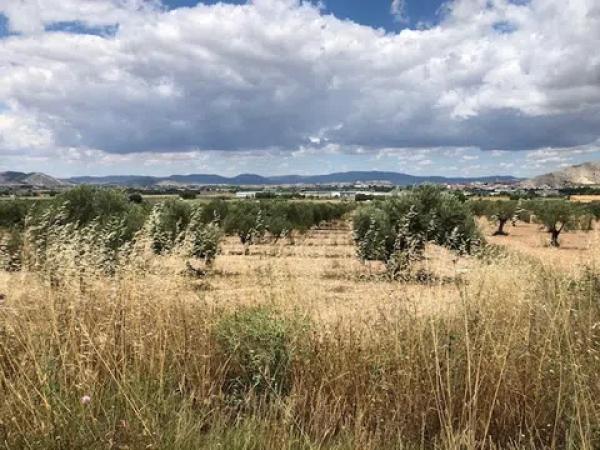 Terreno en Peña Rubia