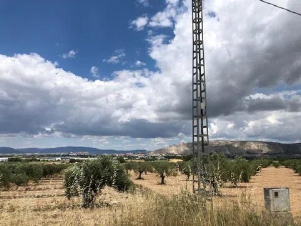 Terreno en Peña Rubia