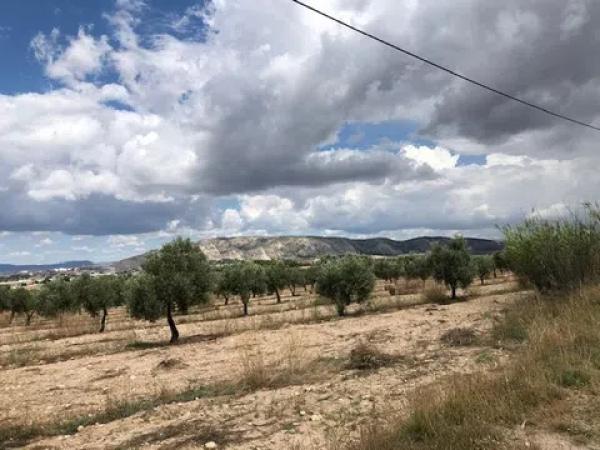 Terreno en Peña Rubia