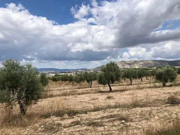 Terreno en Peña Rubia