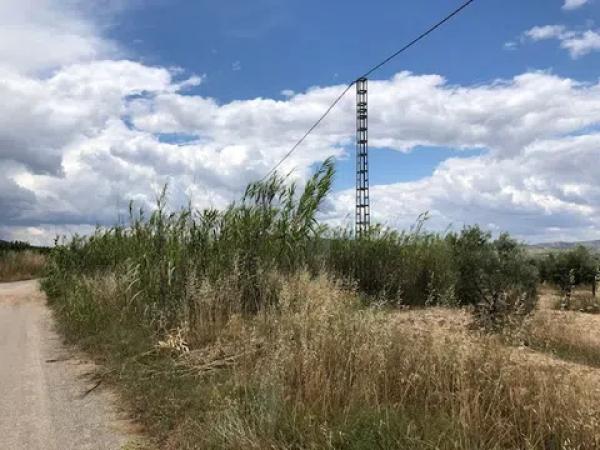 Terreno en Peña Rubia