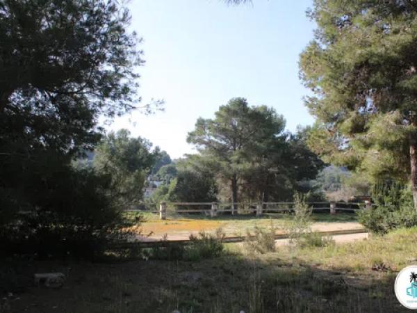 Terreno en camino Tarraula