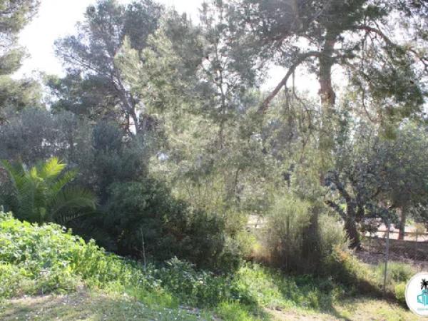 Terreno en camino Tarraula