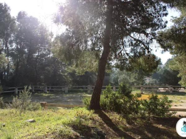 Terreno en camino Tarraula