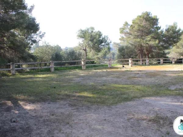 Terreno en camino Tarraula