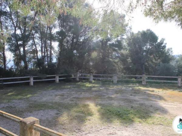 Terreno en camino Tarraula