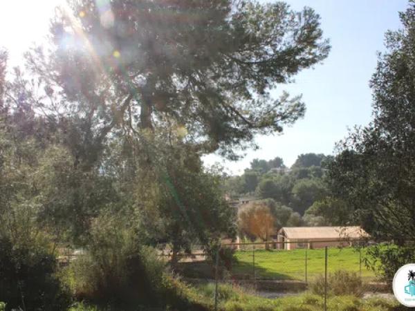 Terreno en camino Tarraula