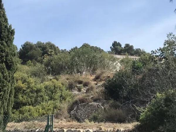 Terreno en Partida Tosal de la Cometa, 25g