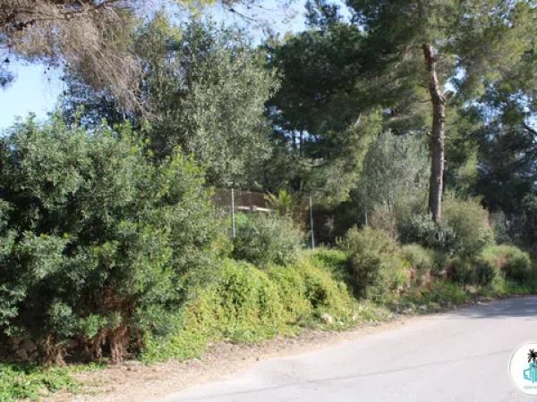 Terreno en camino Tarraula