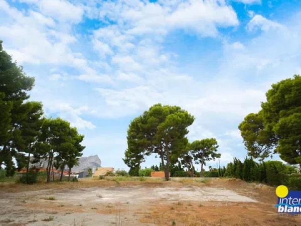 Terreno en La Fustera