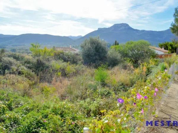 Terreno en Alcalalí