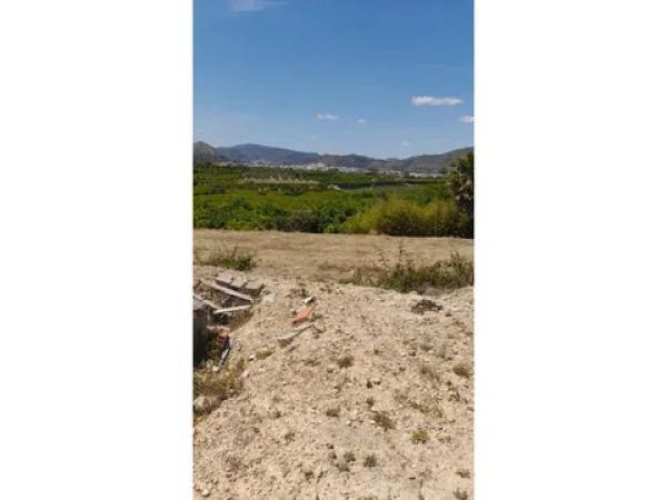 Terreno en Pego