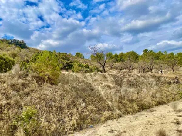 Terreno en les senies s/n