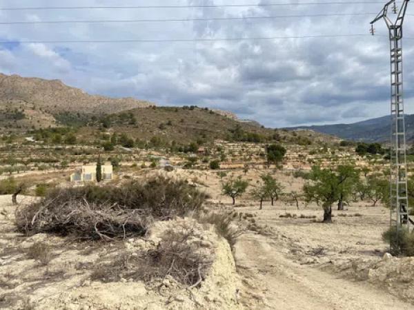 Terreno en les senies s/n