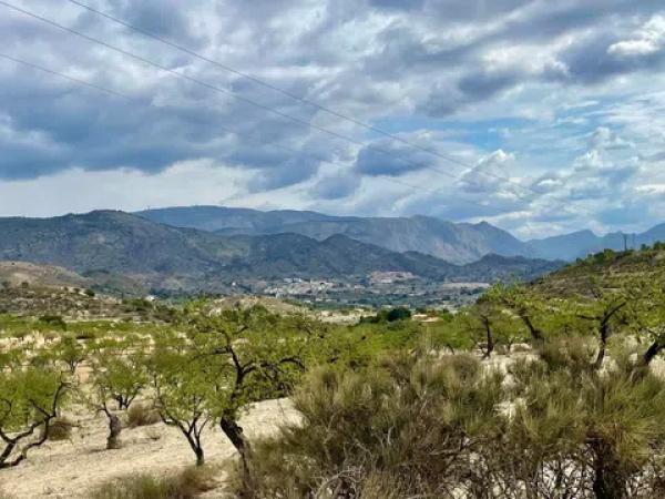 Terreno en les senies s/n