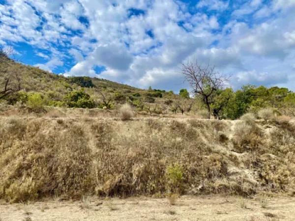 Terreno en les senies s/n