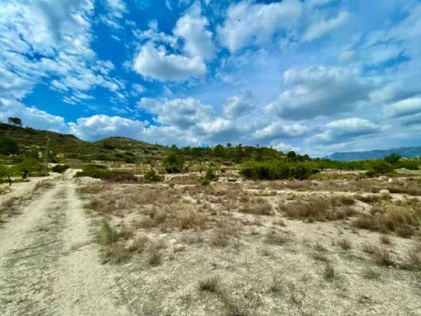 Terreno en les senies s/n