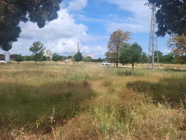 Terreno en La Pedrera-Vessanes