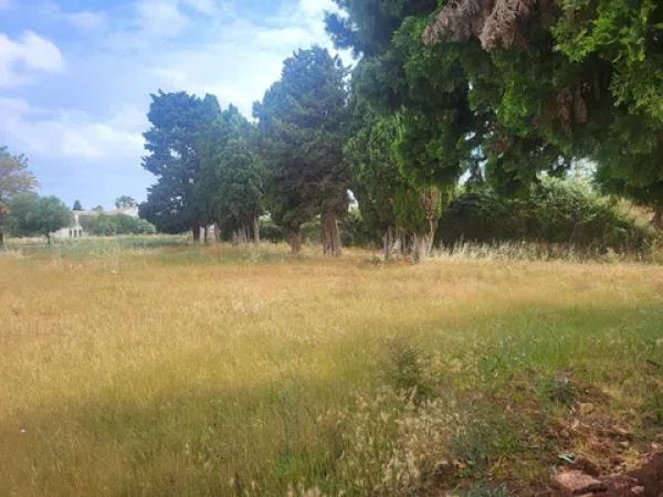 Terreno en La Pedrera-Vessanes