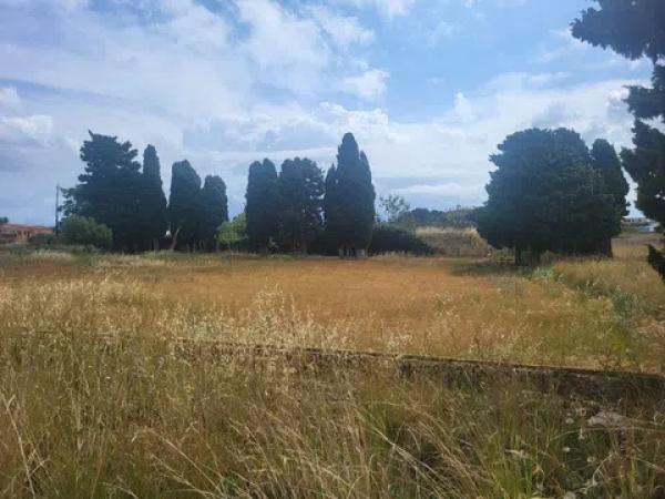 Terreno en La Pedrera-Vessanes