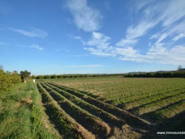 Terreno en Molins-Campaneta-San Bartolomé