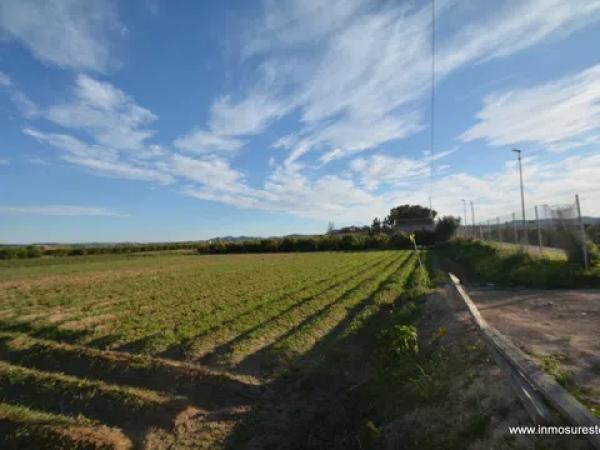 Terreno en Molins-Campaneta-San Bartolomé