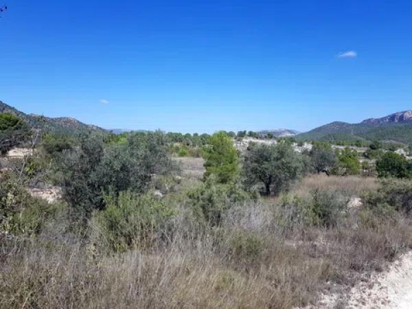 Terreno en Partida Cavarrasa, 14