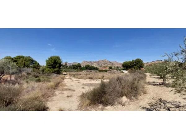 Terreno en Diseminado Alcoraya