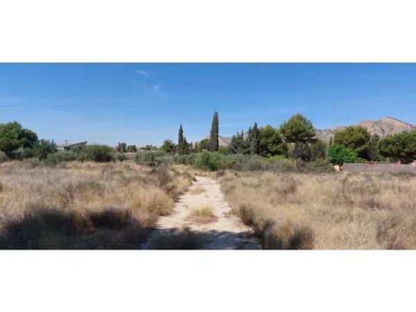 Terreno en Diseminado Alcoraya