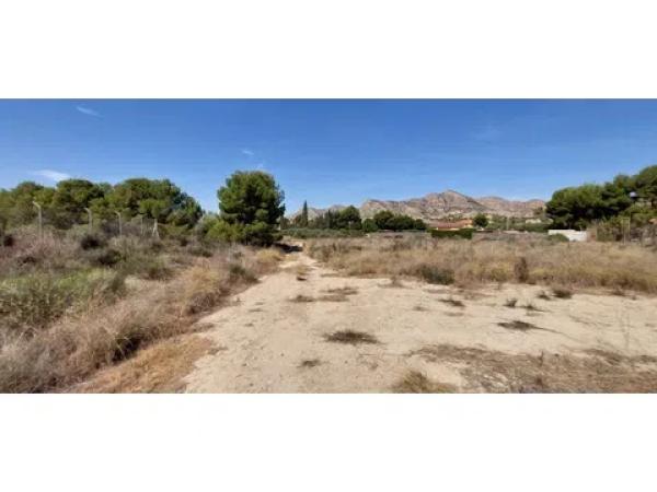 Terreno en Diseminado Alcoraya