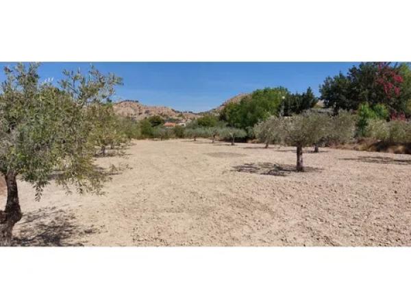 Terreno en Diseminado Alcoraya