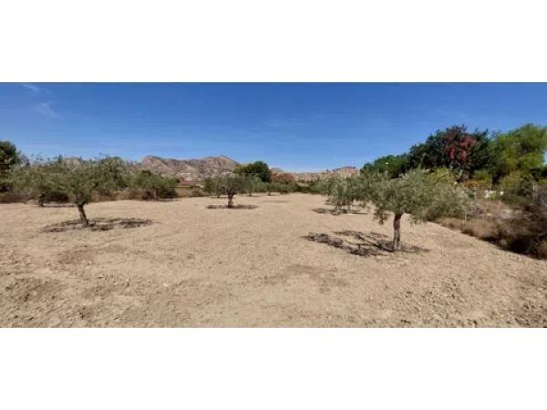 Terreno en Diseminado Alcoraya