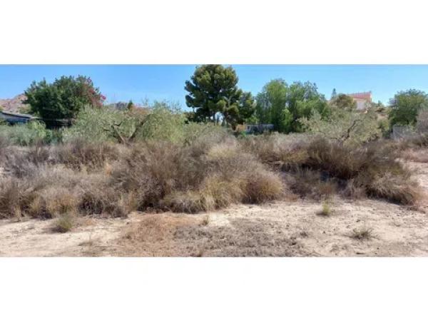 Terreno en Diseminado Alcoraya