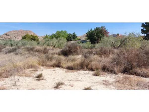 Terreno en Diseminado Alcoraya