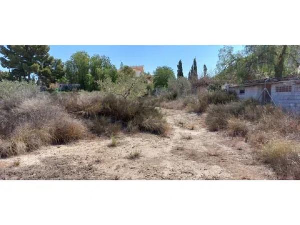 Terreno en Diseminado Alcoraya