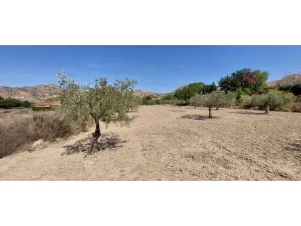 Terreno en Diseminado Alcoraya