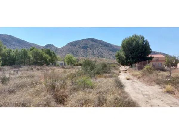 Terreno en Diseminado Alcoraya