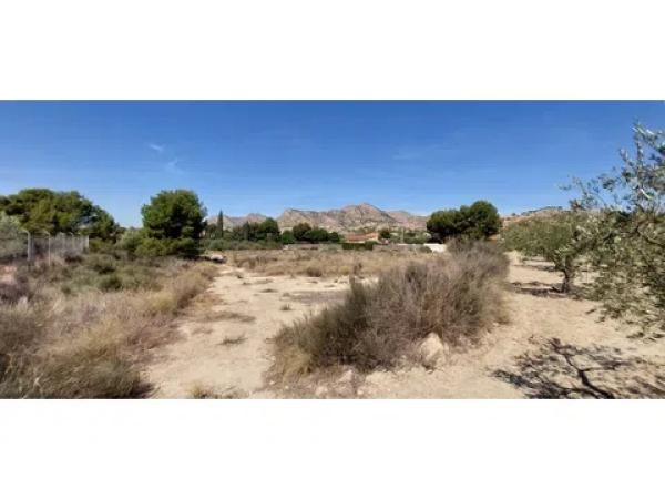 Terreno en Diseminado Alcoraya
