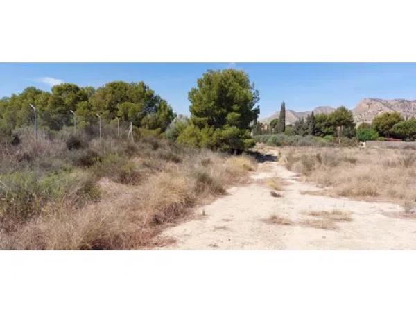 Terreno en Diseminado Alcoraya