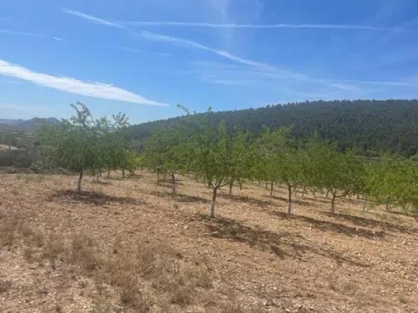 Terreno en La Romana