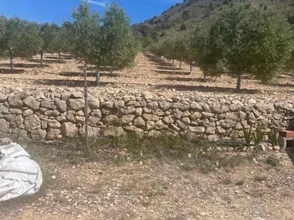 Terreno en La Romana