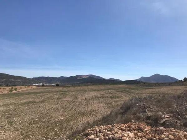 Terreno en Polígono, 167