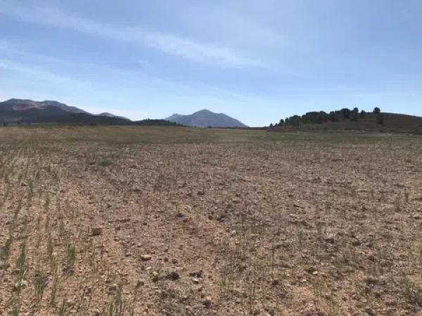 Terreno en Polígono, 167