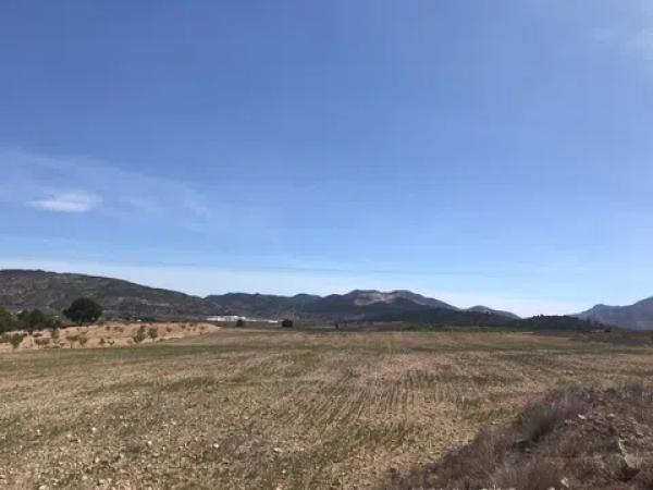 Terreno en Polígono, 167