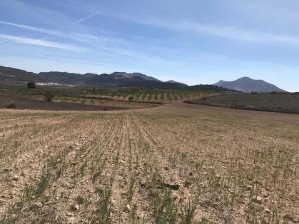 Terreno en Polígono, 167